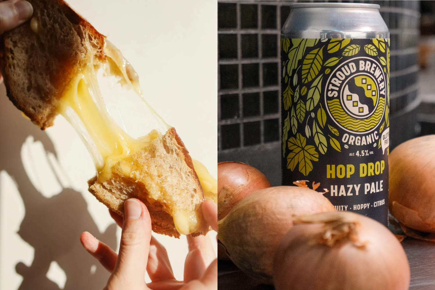 Hop Drop Ale Onion - Cheese Toastie