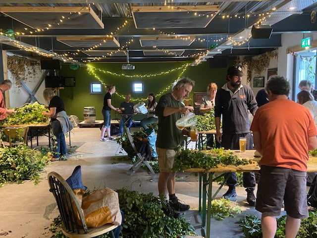 Record-Breaking Community Hop Picking Day