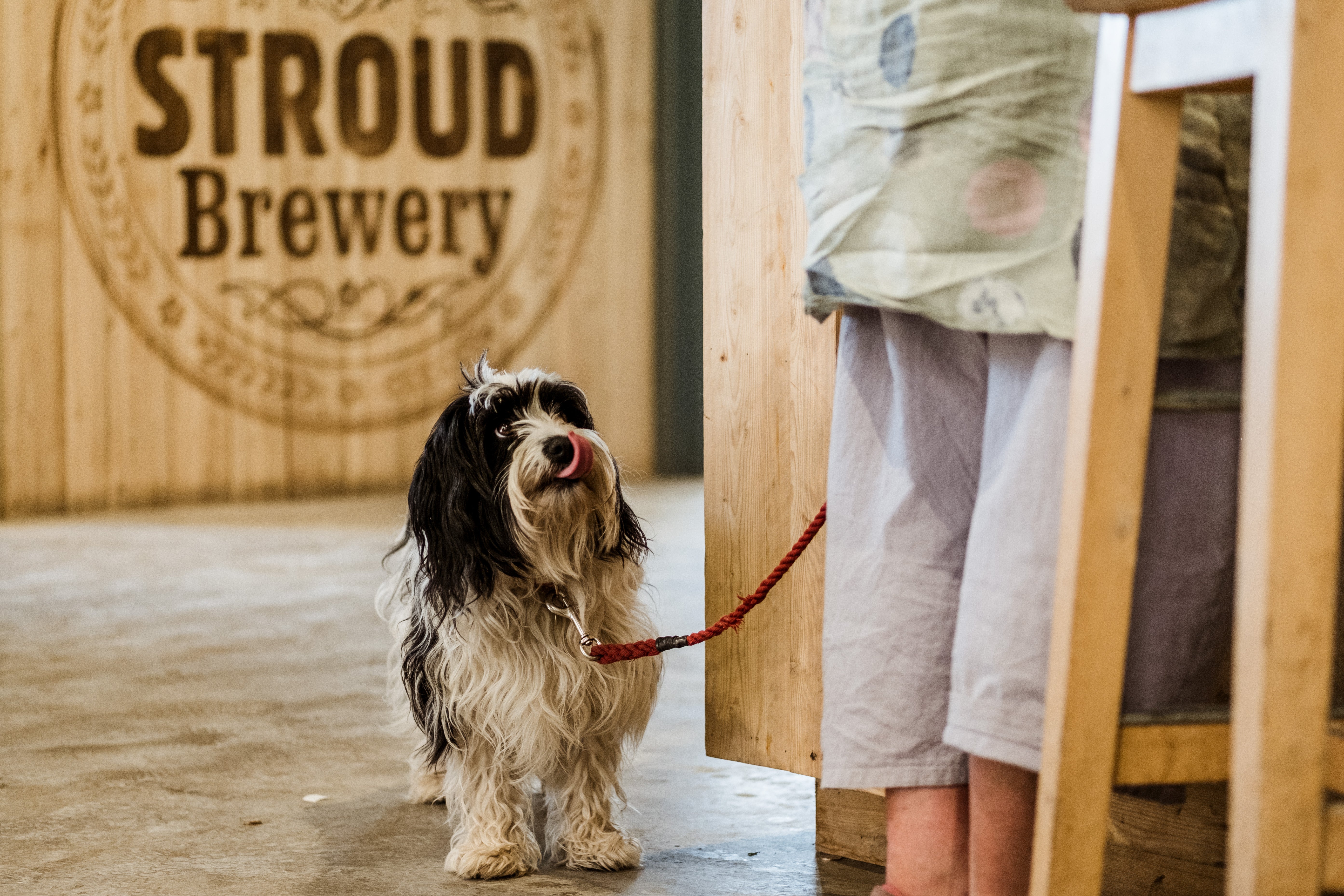 Stroud Brewery & Taproom