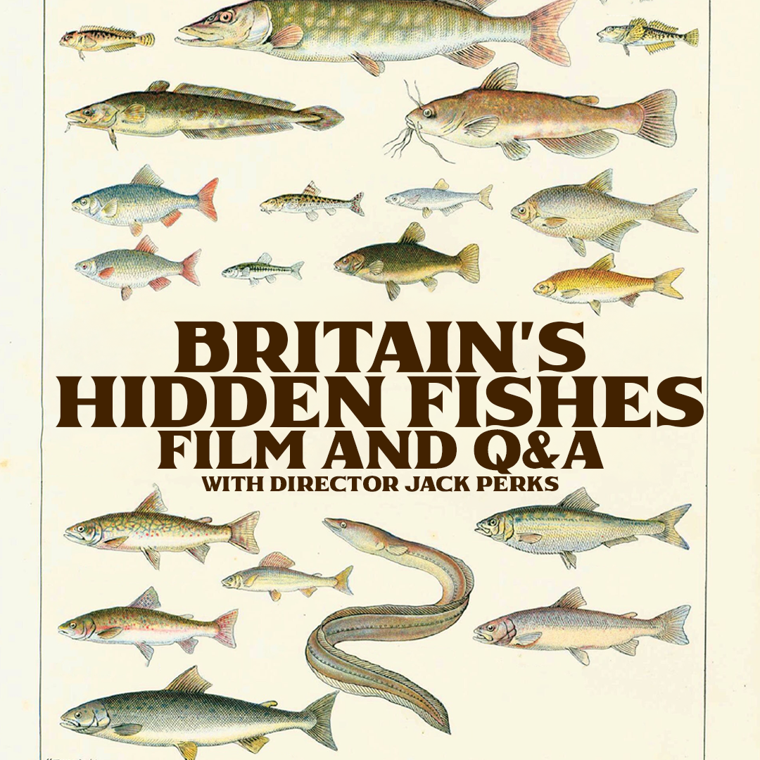 Britain's Hidden Fishes : Film ,Talk & Q&A From Jack Perks
